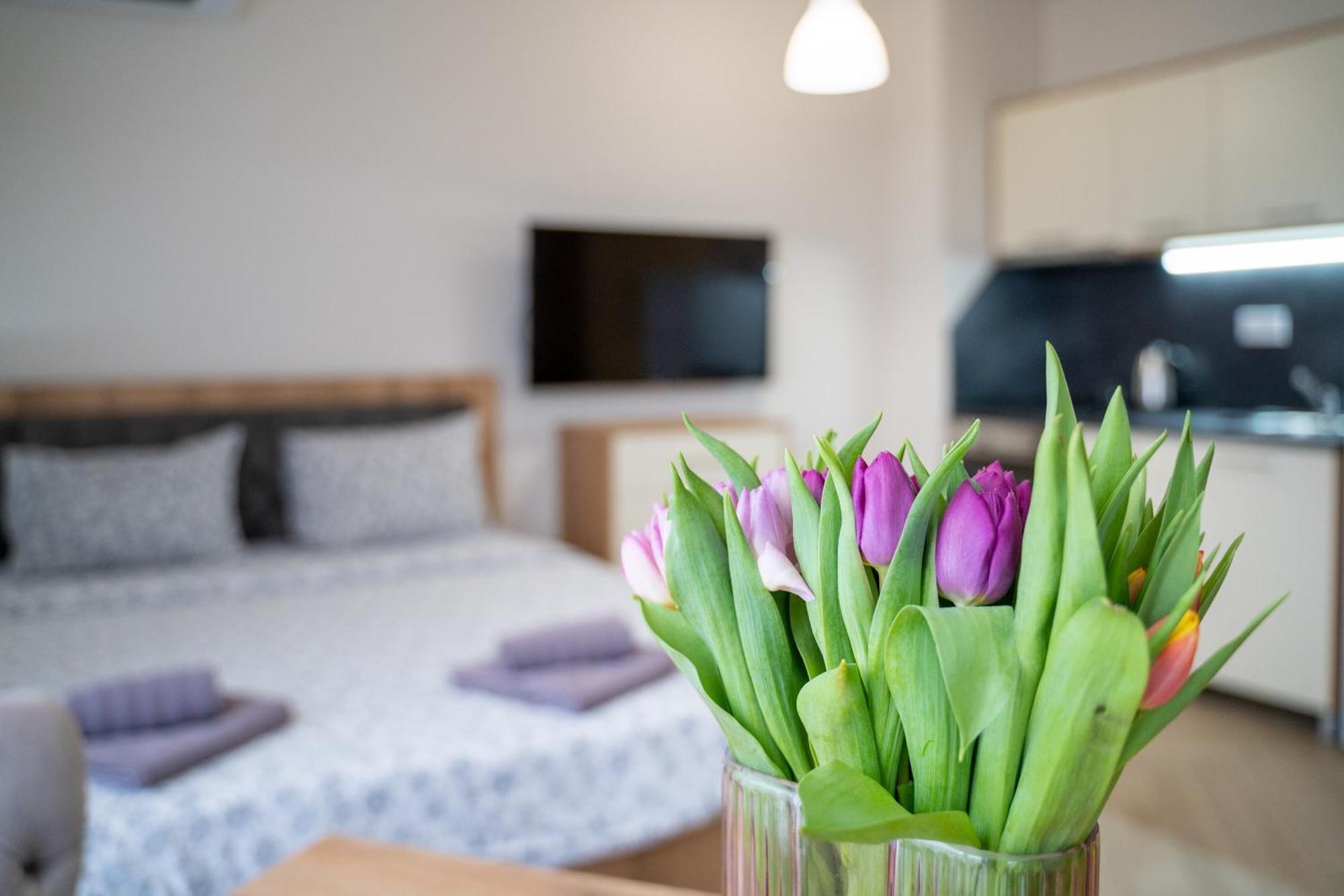 Wow For Rent 2 Bul Montevideo 25a - B Apartment Sofia